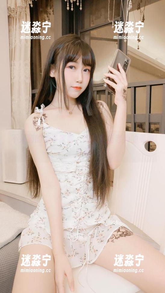 不呆猫的神奇家教，随时当猫老师的美图白板