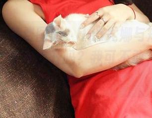 青豆客 – 免费图册，Una尤娜与短裤的亲密接触，你敢点开吗？我可不敢，怕被美晕！